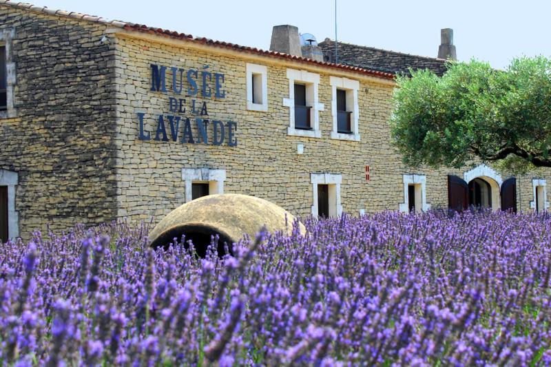 Chambre D Hotes Dans Le Vaucluse Mazan Exterior photo
