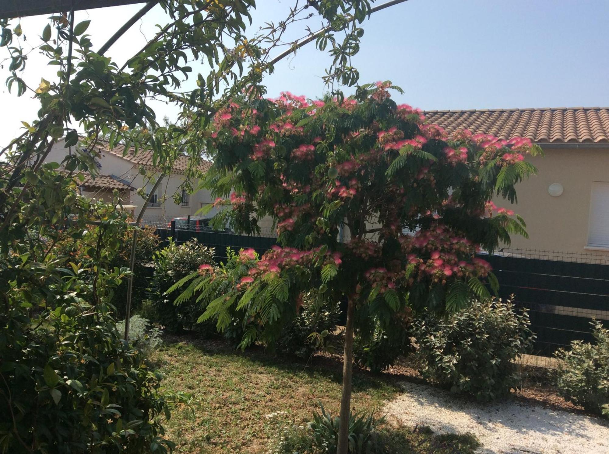 Chambre D Hotes Dans Le Vaucluse Mazan Exterior photo